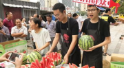 热心朝阳群众吃瓜网,吃瓜网背后的故事与真相