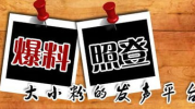 重庆人才爆料平台官网,汇聚人才动态，助力职业发展新篇章