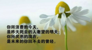 励志的句子经典语句发朋友圈,朋友圈中的励志经典语句精选