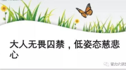 两人十四个心打一字谜,揭秘“两人十四个心”的谜底之谜”